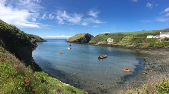Stargazing in Pembrokeshire