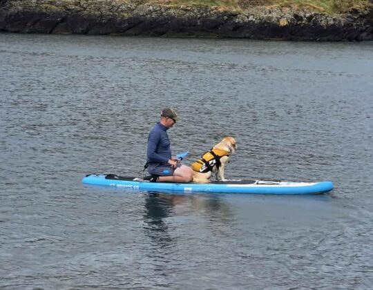 SUP and dog SUP and dog
