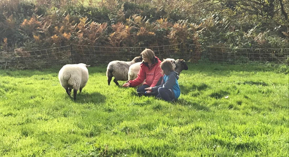 Anne, 'the ladies,' and kids at Abercastle campsite