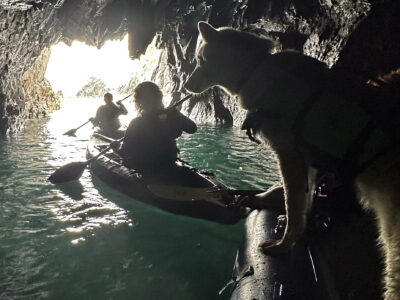 Kayaking with caves and dogs at Abercastle Campsite, West Wales, Pembrokeshire.